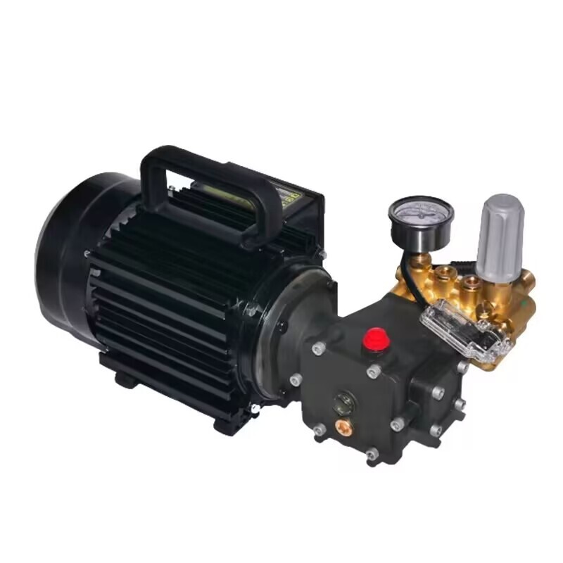 220V Copper Electric High Pressure Washer Pump Car Cleaning Machine 7Mpa 13L/min