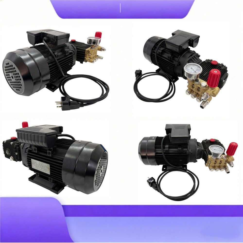 220V 2000W High Pressure Car Washer 12L/min Electric Cleaning Pump w/Water Gun