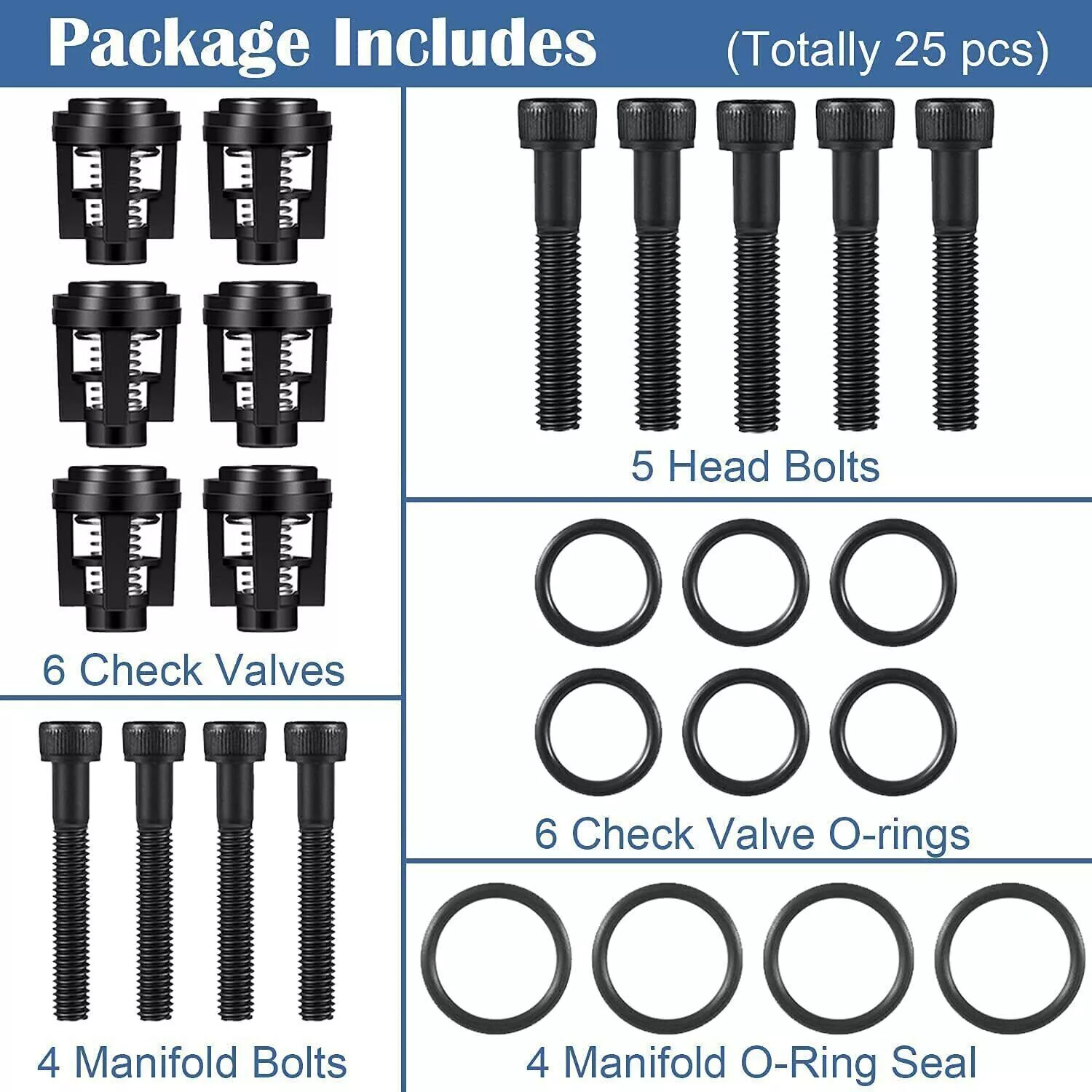 Pressure Washer Pump Valve Check Kit for Briggs and Stratton Craftsman 190591GS