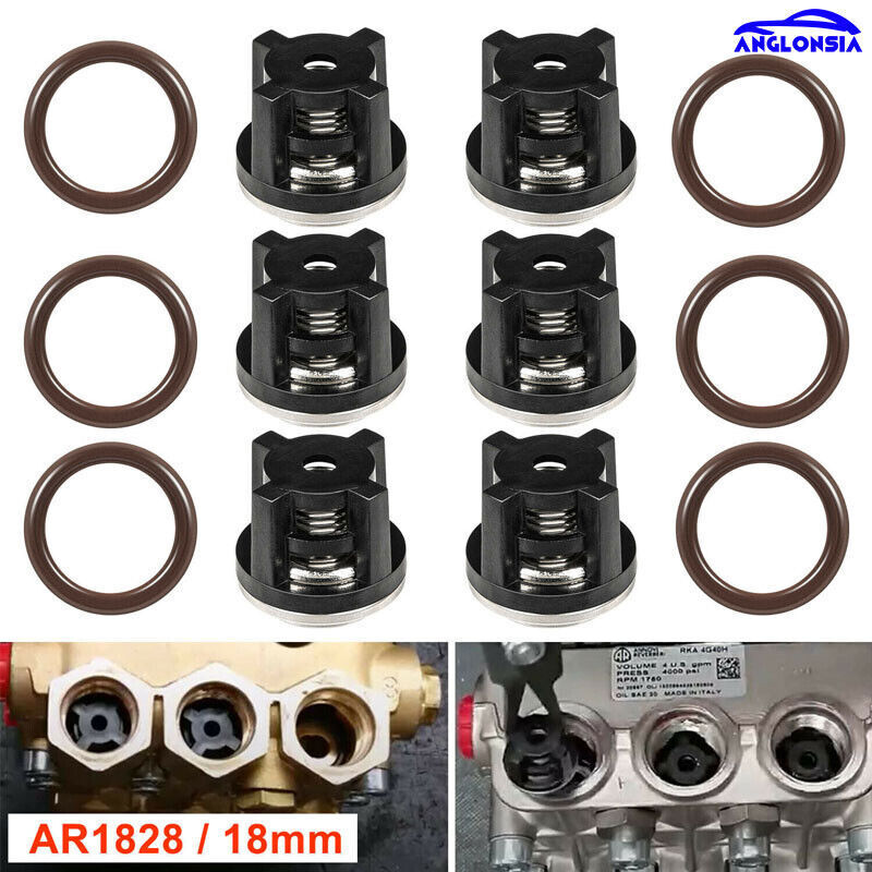 AR1828 Water Pump Check Valves O-Rings Kit for Annovi Reverberi 18mm XR Valves
