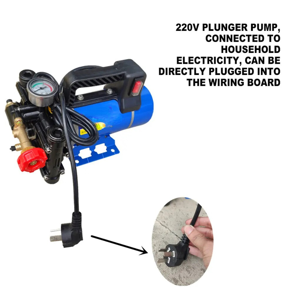 Portable Plunger Pump 200W12V/24V/48V/60V/220V Electric Sprayer Double Cylinder