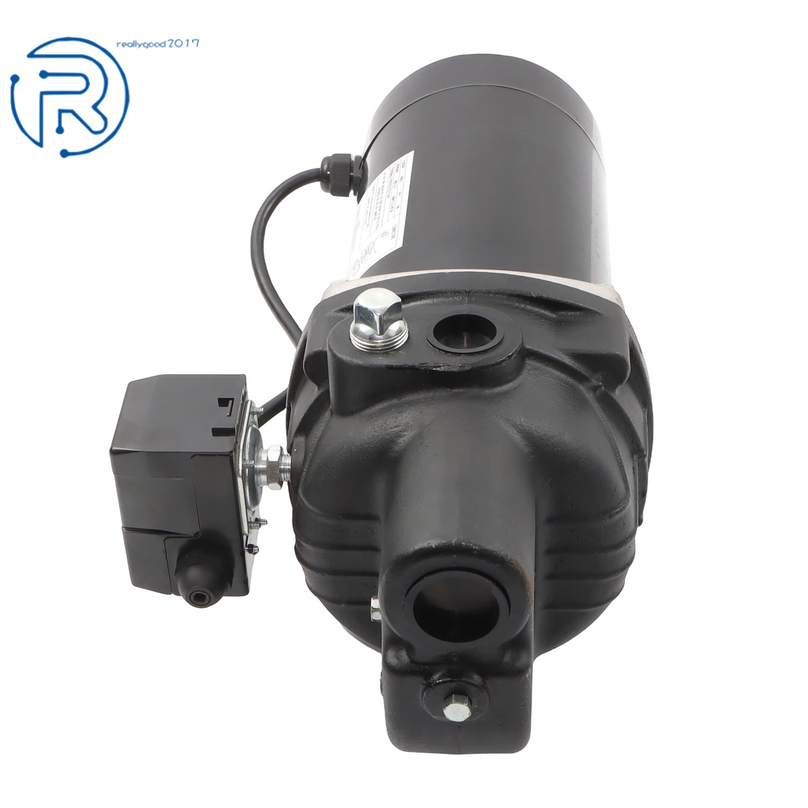 SWS100 1 HP Cast Iron Shallow Well Jet Pump 510 GPH for Wells up to 25 ft