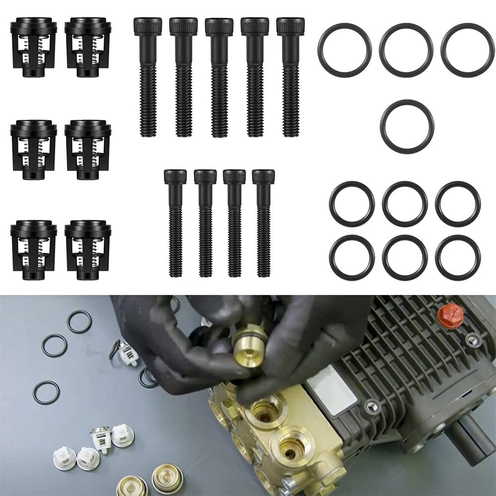 190591GS Pressure Washer Pump Valve Check Kit for Briggs & Stratton 25 pcs