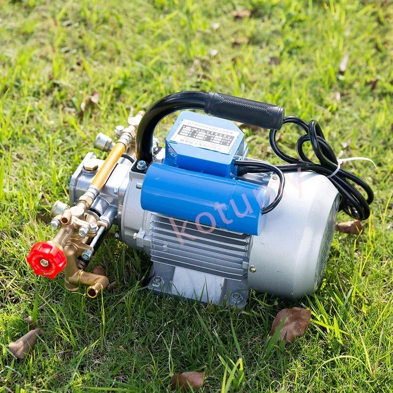 220V Electric Coil Sprayer High Pressure Agricultural Plunger Pump Irrigation