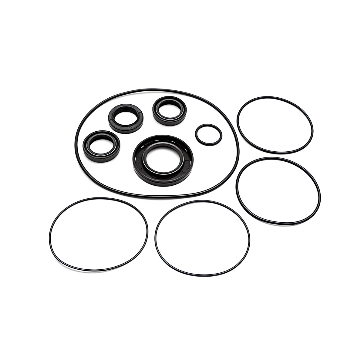 Annovi Reverberi Oil Seals, XW Pumps, AR2781