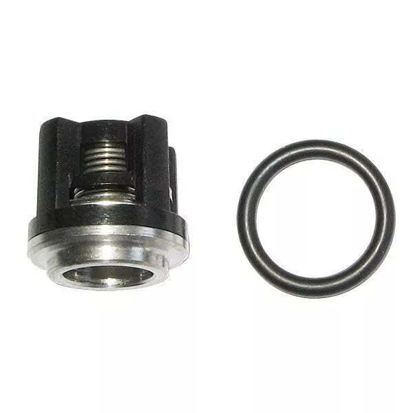 FITS AR1828 CHECK VALVE KIT , Made in Italy, fits RK RKA RKV XRC XRA