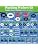 ZDBB 258 Pcs 2-in-1 Spigot Washer & Hose Gasket Kit for Assorted Outdoor Faucet