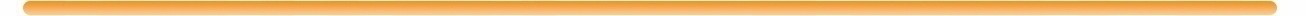 Rosfix Foam Sprayer 1000ml | Brass Core, 200 BAR
