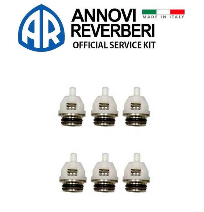 Annovi Reverberi AR 2871 Check Valve Kit for SXW, SXWA Series Pumps *OEM* AR2871