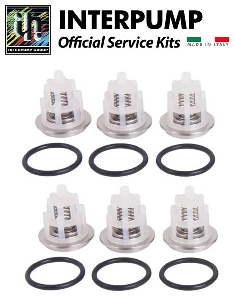 OEM Interpump / GP Kit169 Valve Kit TSF1819, TSF2221, TSF2021, TSF2421, TSF2219