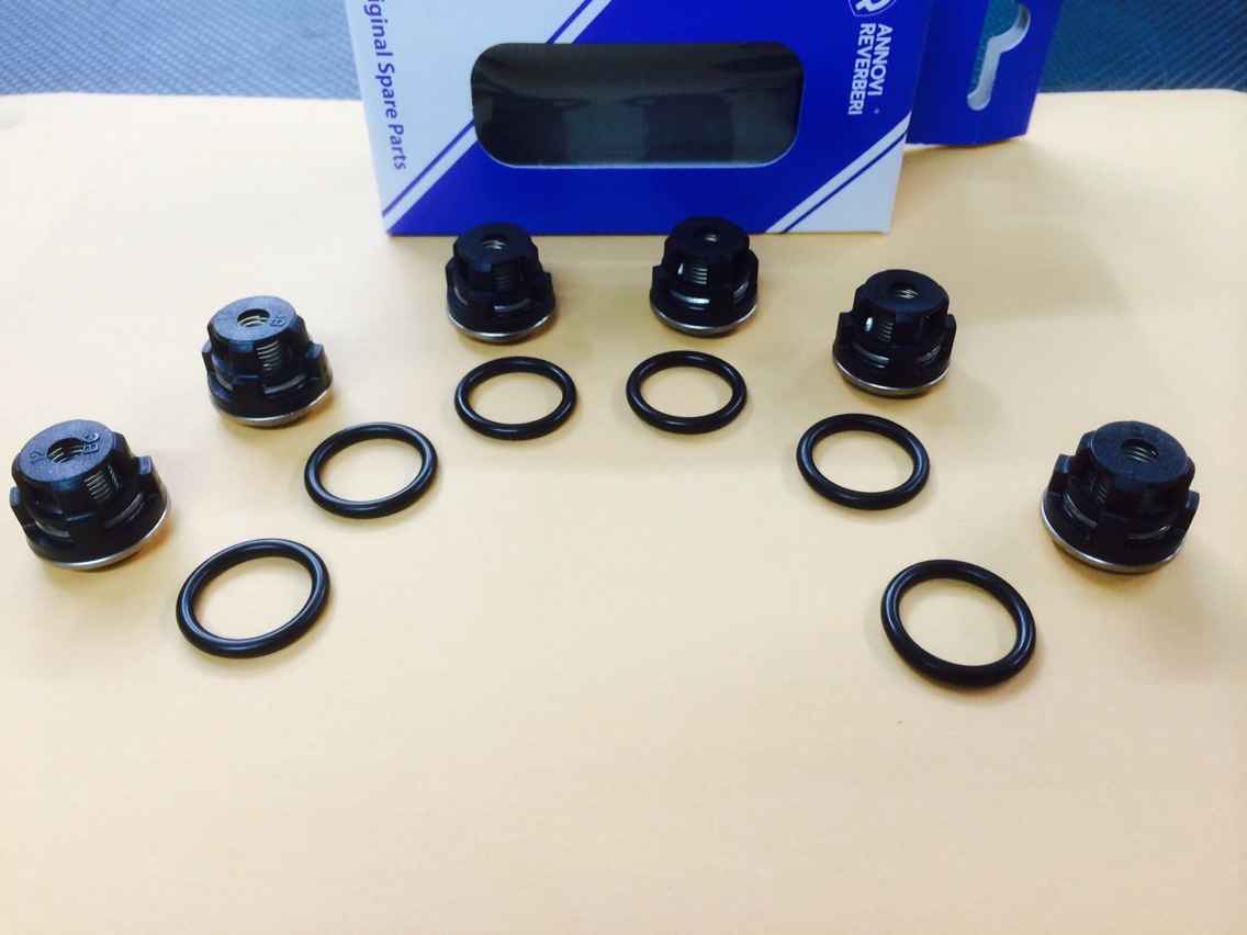 Annovi Reverberi part AR 1864 – XM, XMA, XMV, XT, XTA, & XTV Valve Repair Kit. T