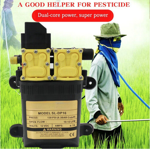 12v 9l/min Agricultural Electric Water Pump Dual power pump Micro High Pressure