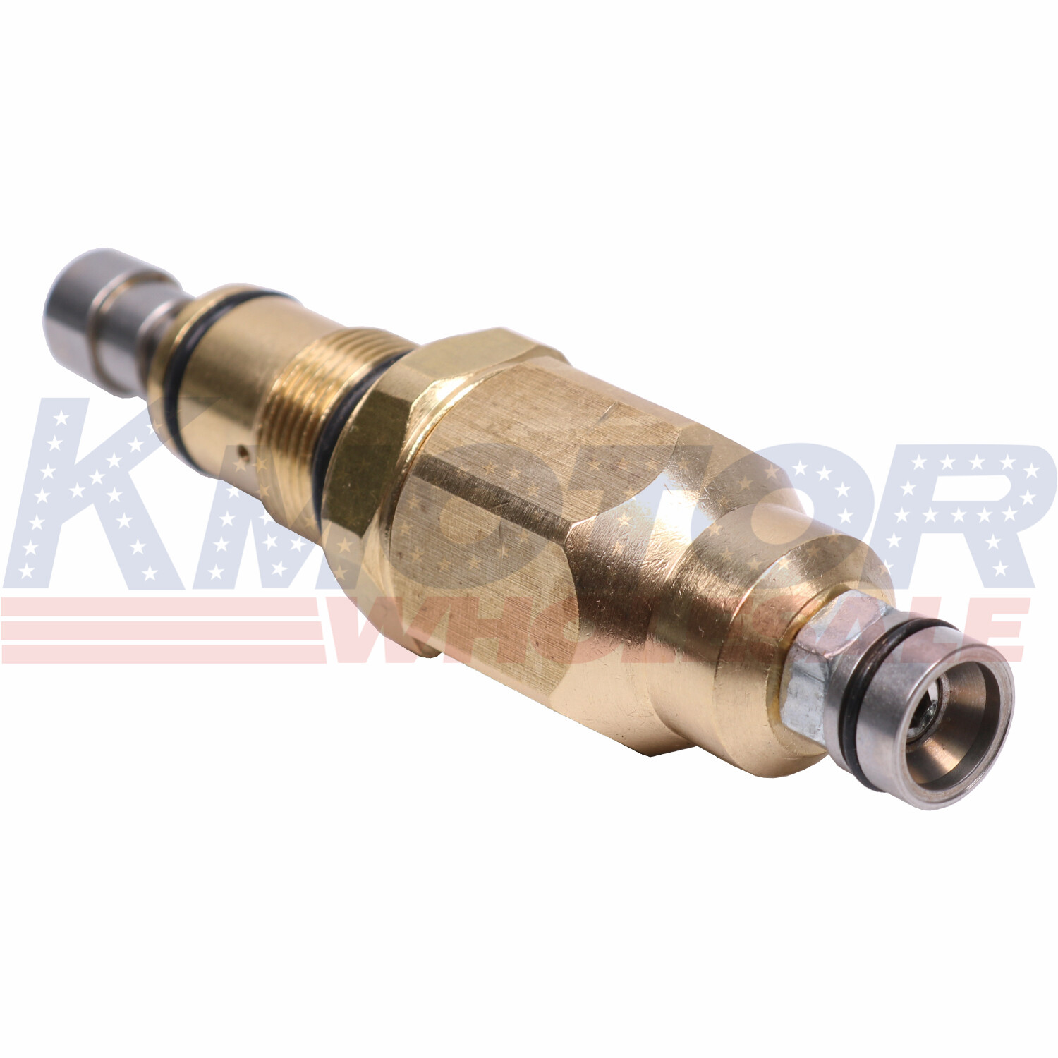 Unloader Valve 200348GS Fit For RMW RMV SRMW Series Pumps Repls AR42118 315747GS
