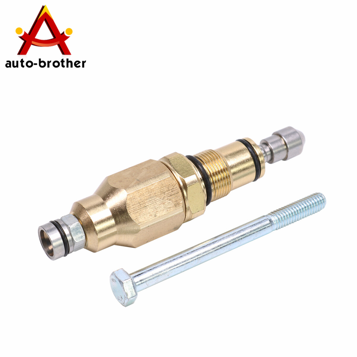 Unloader Valve 200348GS AR42118 Fit For RMW RMV SRMW Series Pumps Repls