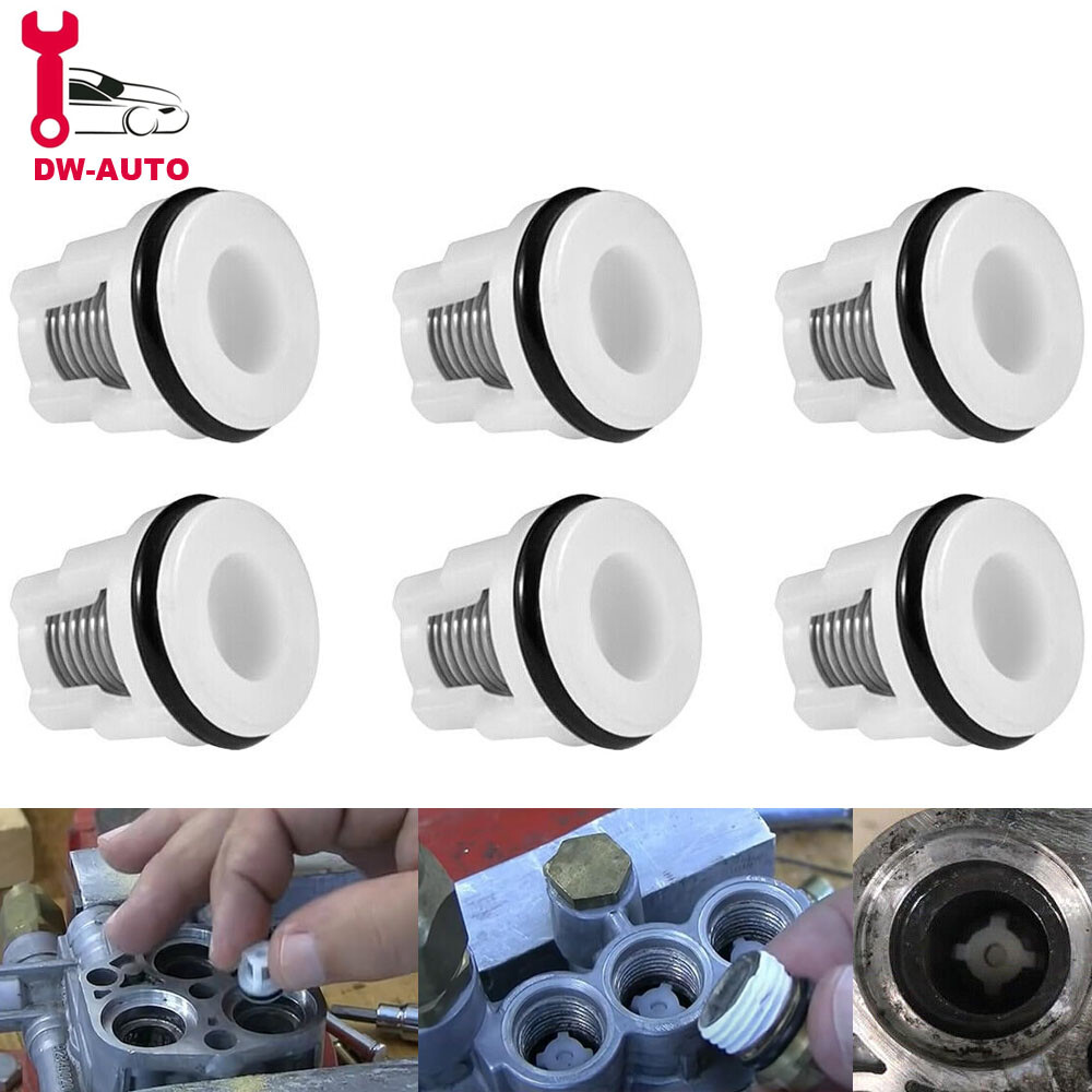 AR2233 Check Valve Kit for RMV and RMW Pressure Pumps RMW25G25D RMW25G25-PKG