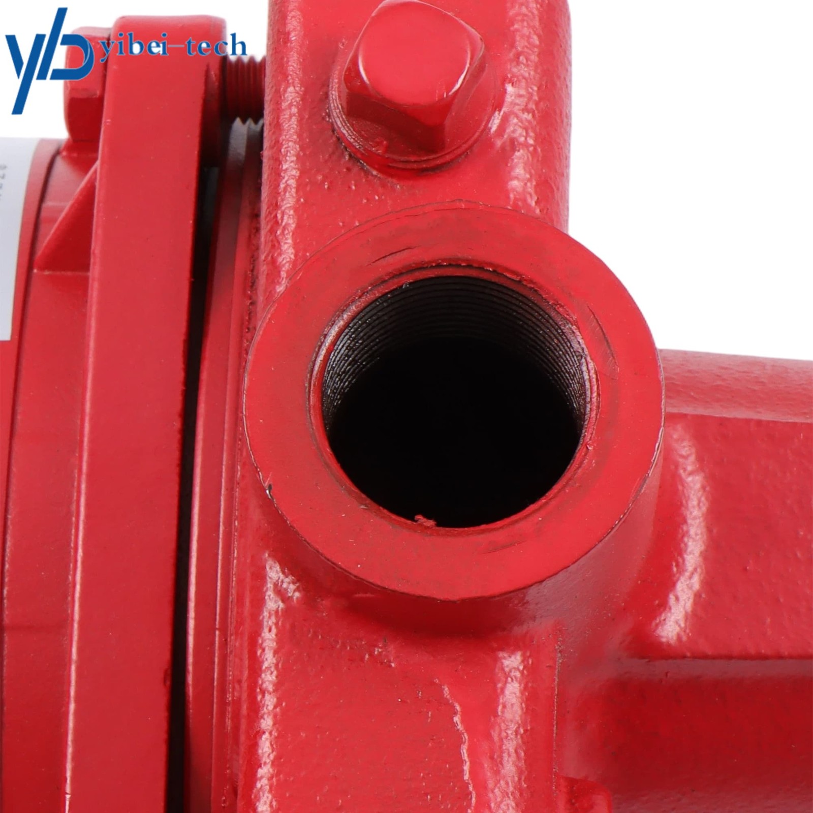 1 HP 23 GPM Cast Iron Dual Voltage 115/230 Volt Shallow Well Jet Pump Red 602208