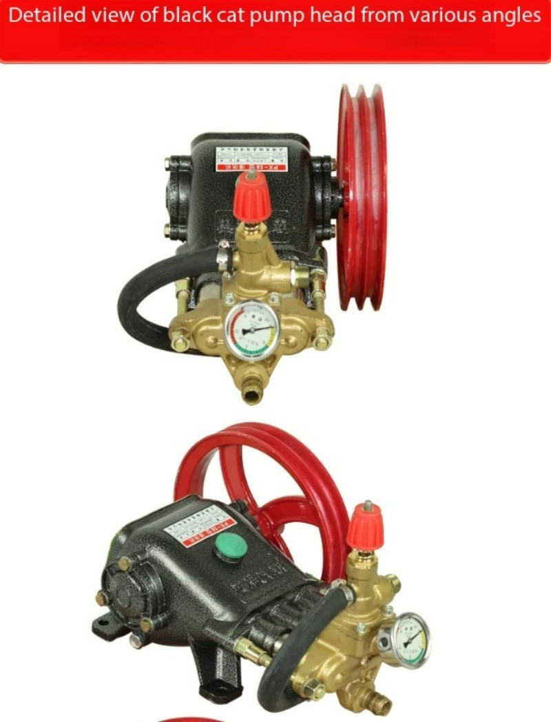 55i Shaft All Copper Commercial Plunger Water Pumps Car Wash Pump Head
