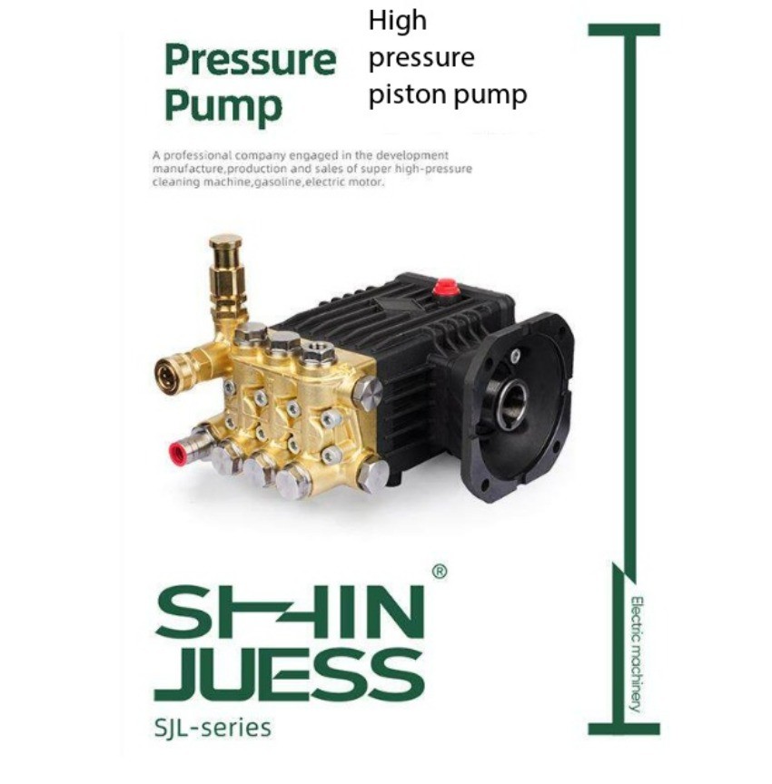 220V 3.3KW 3.9KW 4.5KW Stop The High-pressure Self-service Car Wash Pump