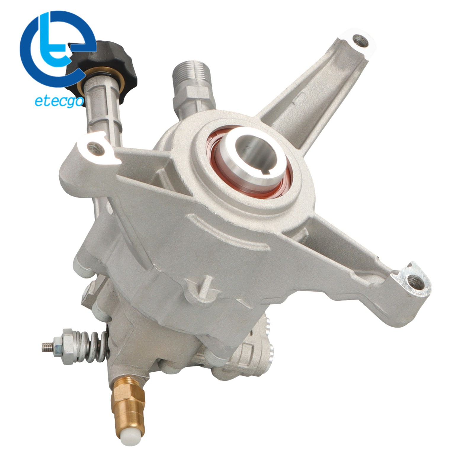 Pressure Washer Pump Replace For Troy Bilt SRMW22G26-EZ Water Pump 2800 Psi