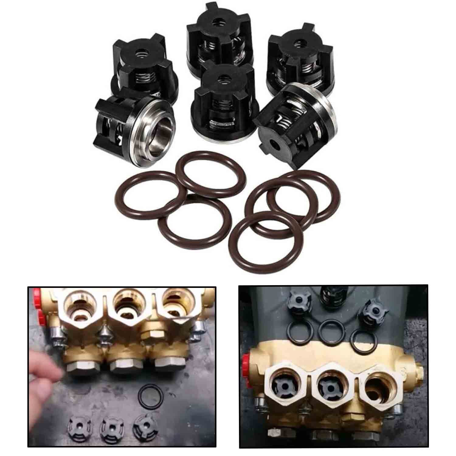 AR1828 Water Pump Check Valve Kit for Annovi Reverberi For RRV, RKV, XRCV 18mm