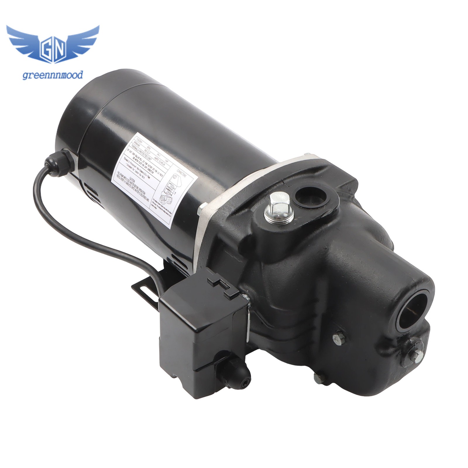 SWS100 1 HP Cast Iron Shallow Well Jet Pump 510 GPH for Wells up to 25 ft