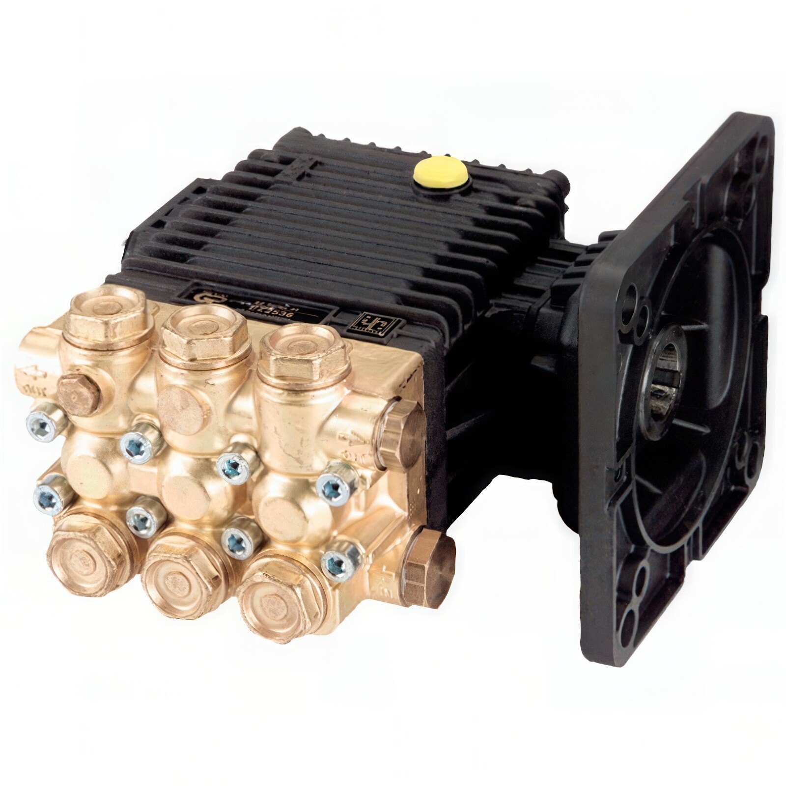 General Pump EZ2545E, 2500 PSI 4.6 GPM Electric Flanged Pressure Washer Pump
