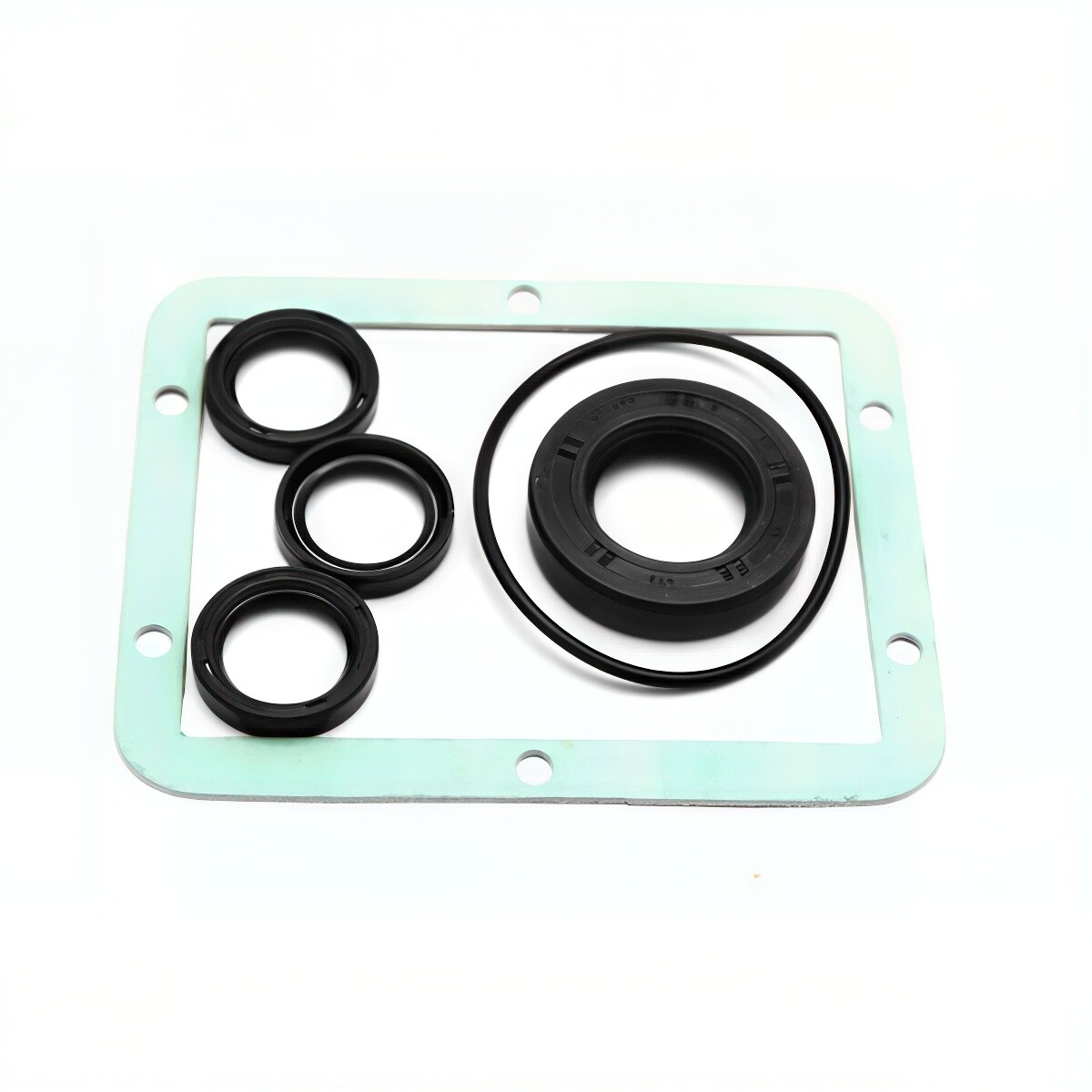 AR AR1855 Oil Seal Kit RK RKA RKV XR XRA N-Version Pumps 18-22mm 7-Piece