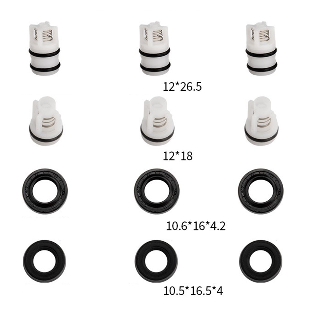 Efficient Pump Head Repair Kit with Seal Oil Check Valves for Cleaning