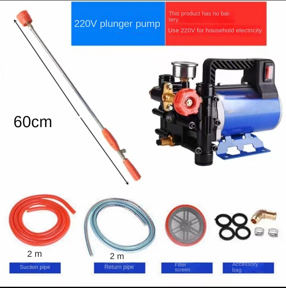 Portable Plunger Pump 200W12V/24V/48V/60V/220V Electric Sprayer Double Cylinder