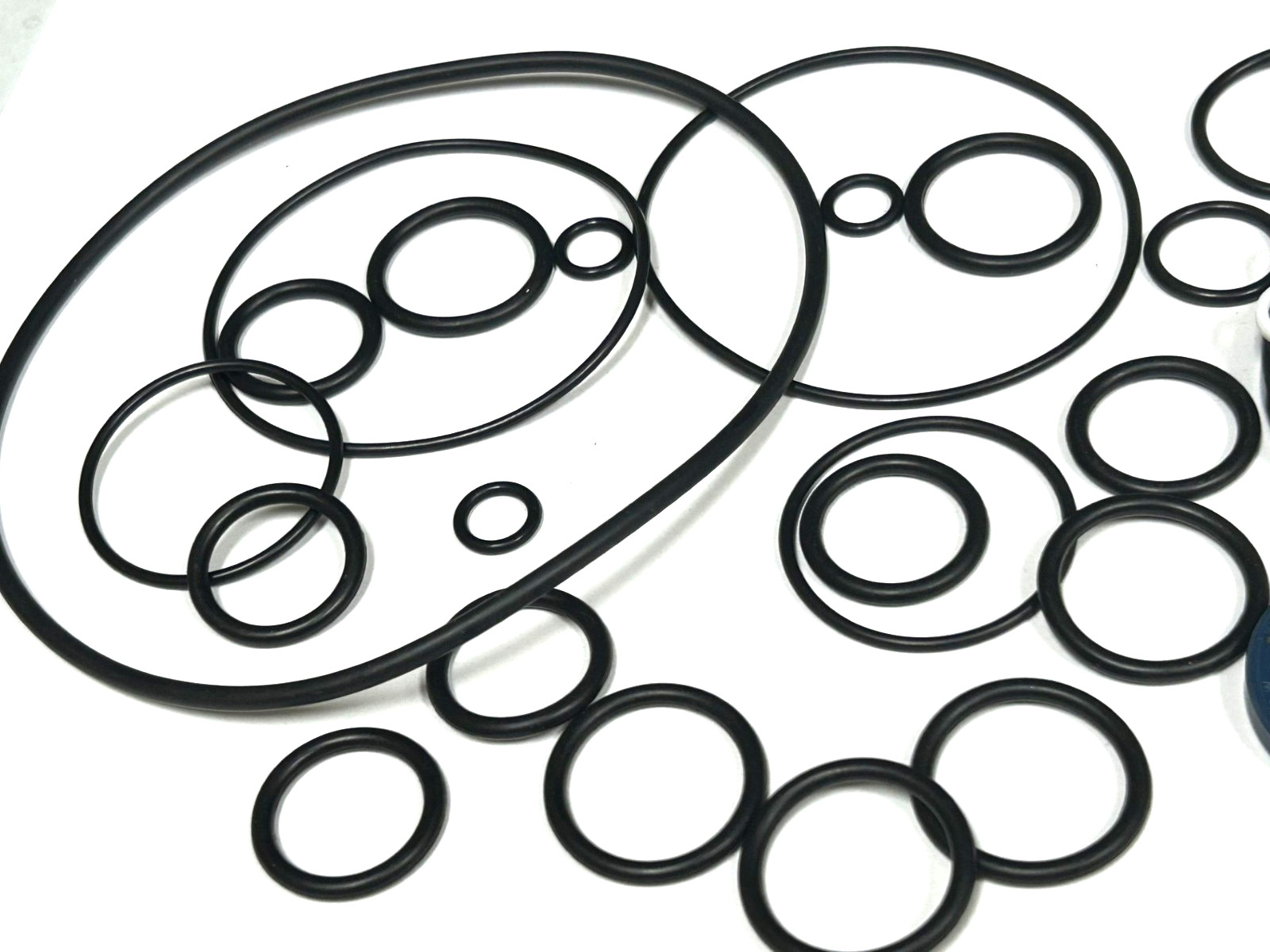 OEM Comet Pump 5019.0045.00 – Oil Seal Kit for FW And HW Series Hollow Shaft