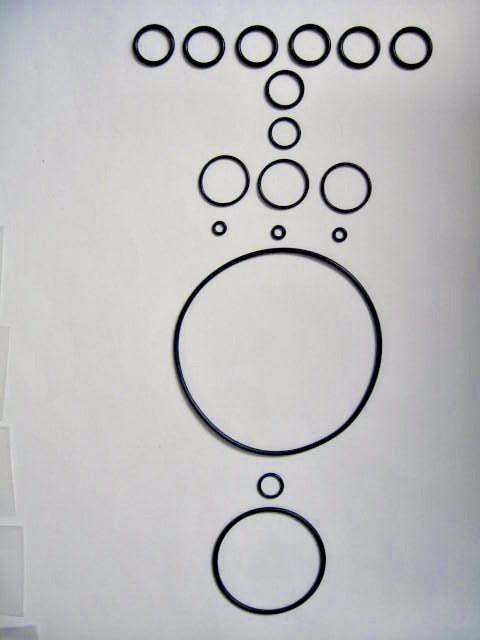 Annovi Reverberi AR-42550 O Ring Kit / RRA E / RRA N / RRV / R&S 4.48-107.62AR