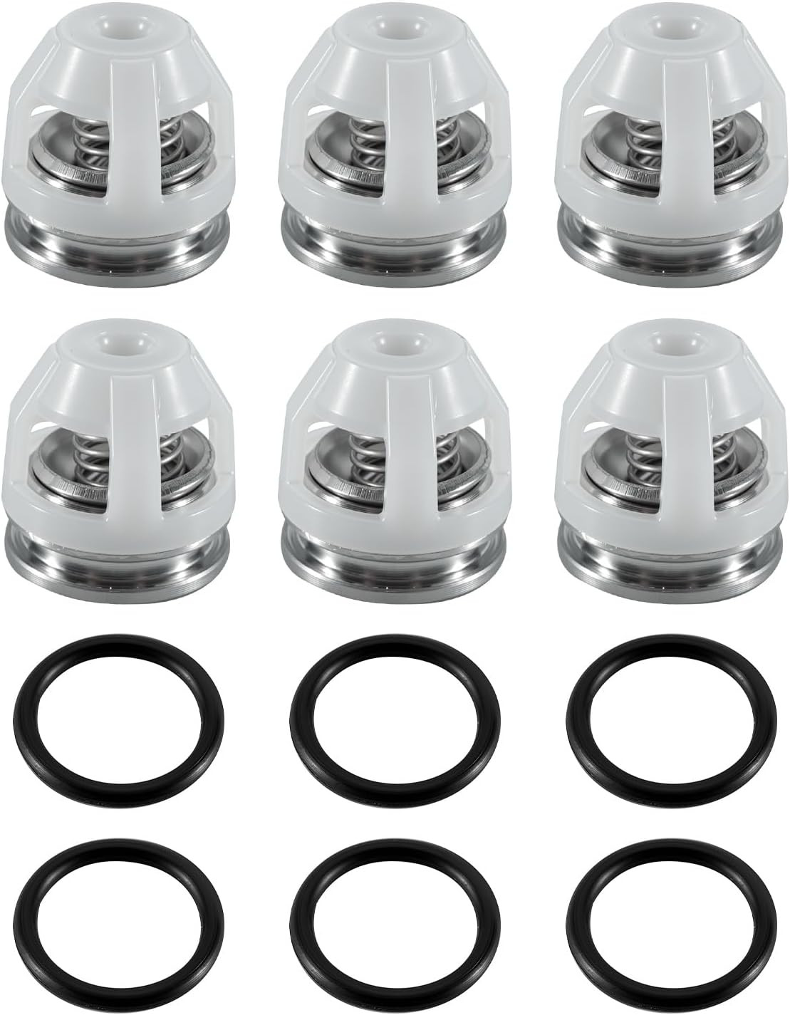6 Sets AR2186 Pressure Washer Pump Check Valves Kit with O-Rings Fit for RCA RCV