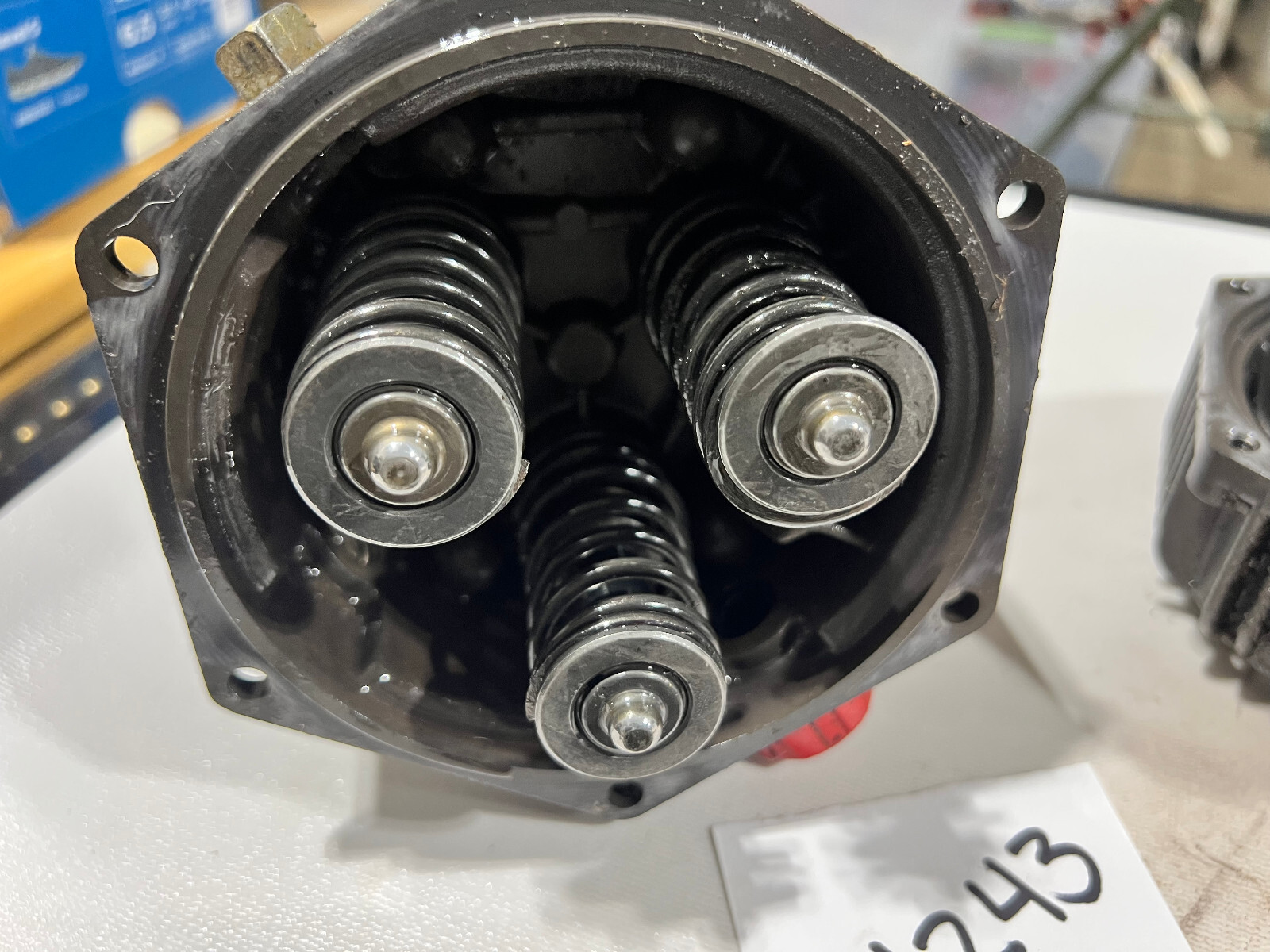 Briggs & Stratton Power 95319C Pump Head Assembly (#4243)