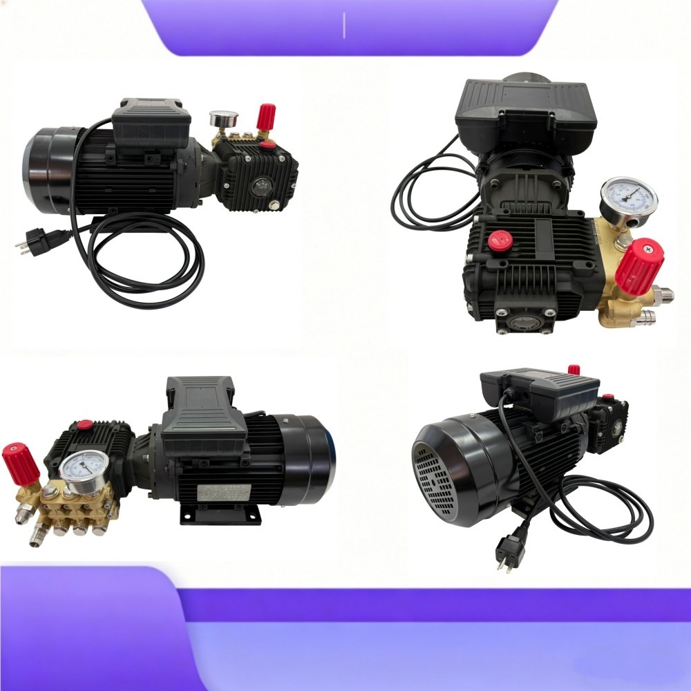 220V 2500W High Pressure Car Washer 120bar 13-15L/min Electric Cleaning Pump