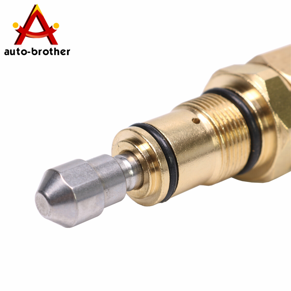 Unloader Valve 200348GS AR42118 Fit For RMW RMV SRMW Series Pumps Repls
