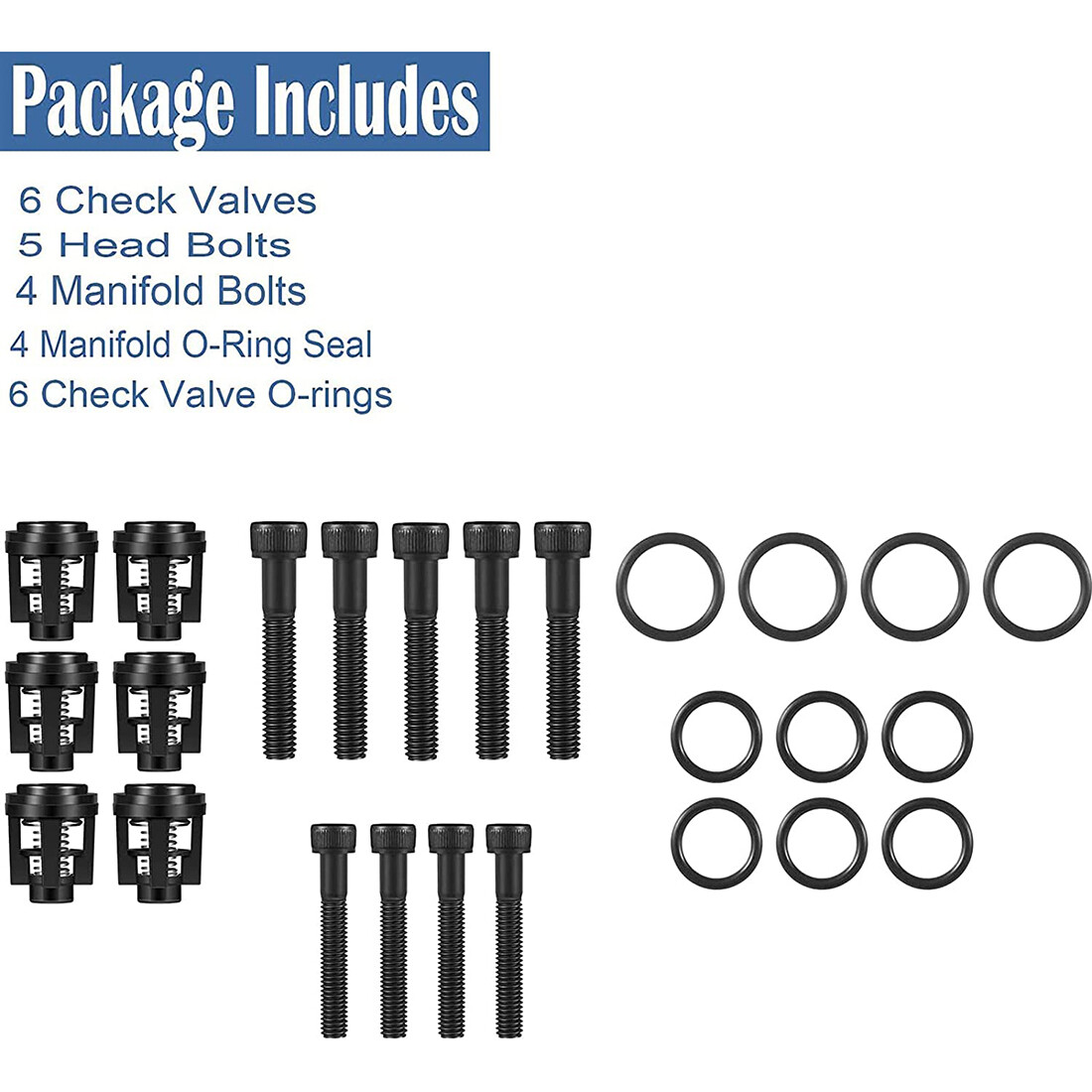190591GS Pressure Washer Pump Valve Check Kit for Briggs & Stratton & Troy-Bilt
