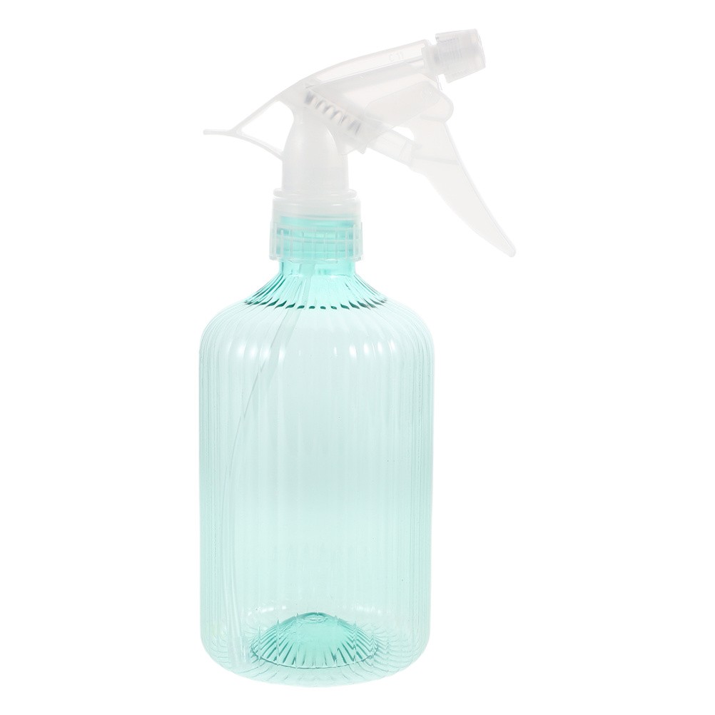 Succulent Watering Bottle Can with Sprayer Bucket Misting for Plants