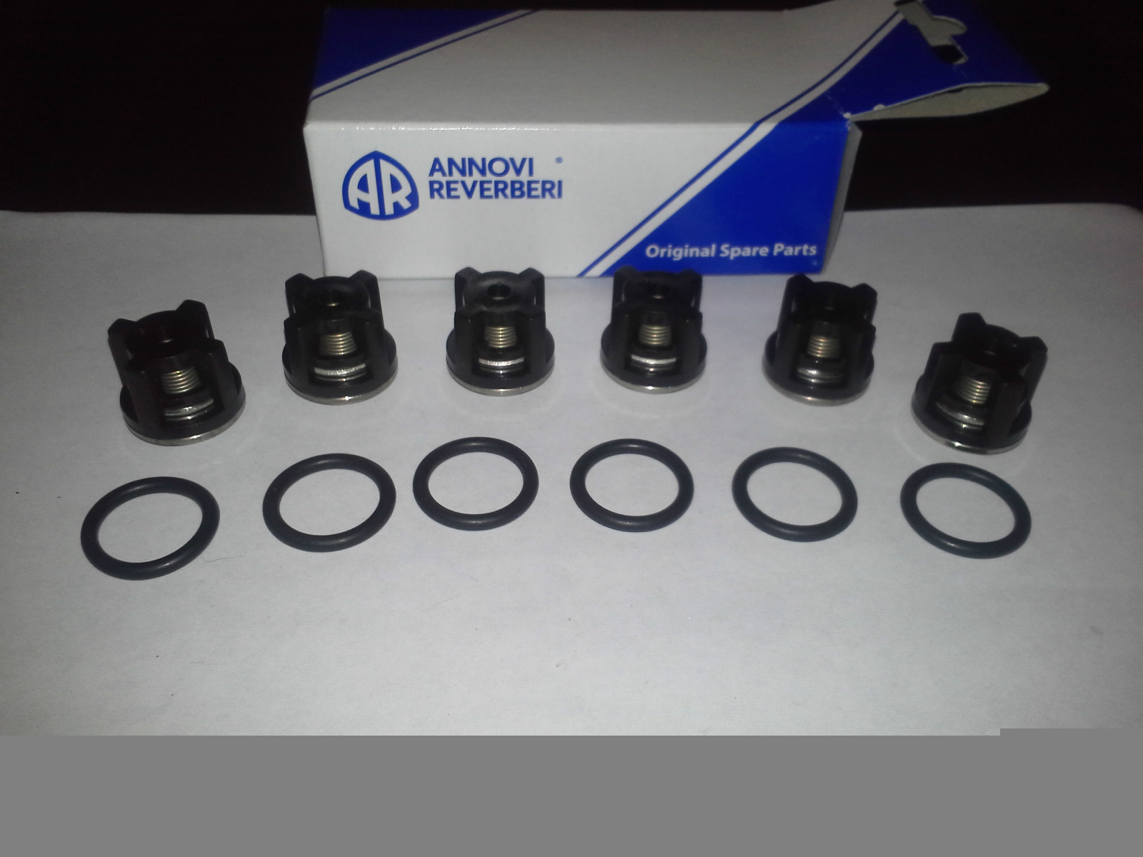 AR 1828 Check Valve Kit XR Annovi Reverberi XRC RKV