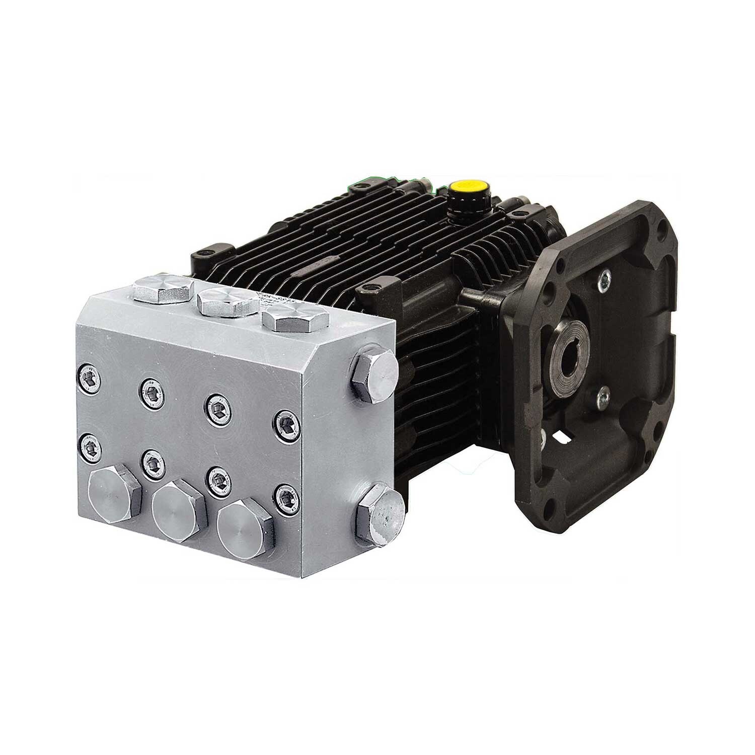 Annovi Reverberi (AR) Plunger Pump RKASS42G15E-F33-SX, 4.2 GPM, 1500 PSI, 1750