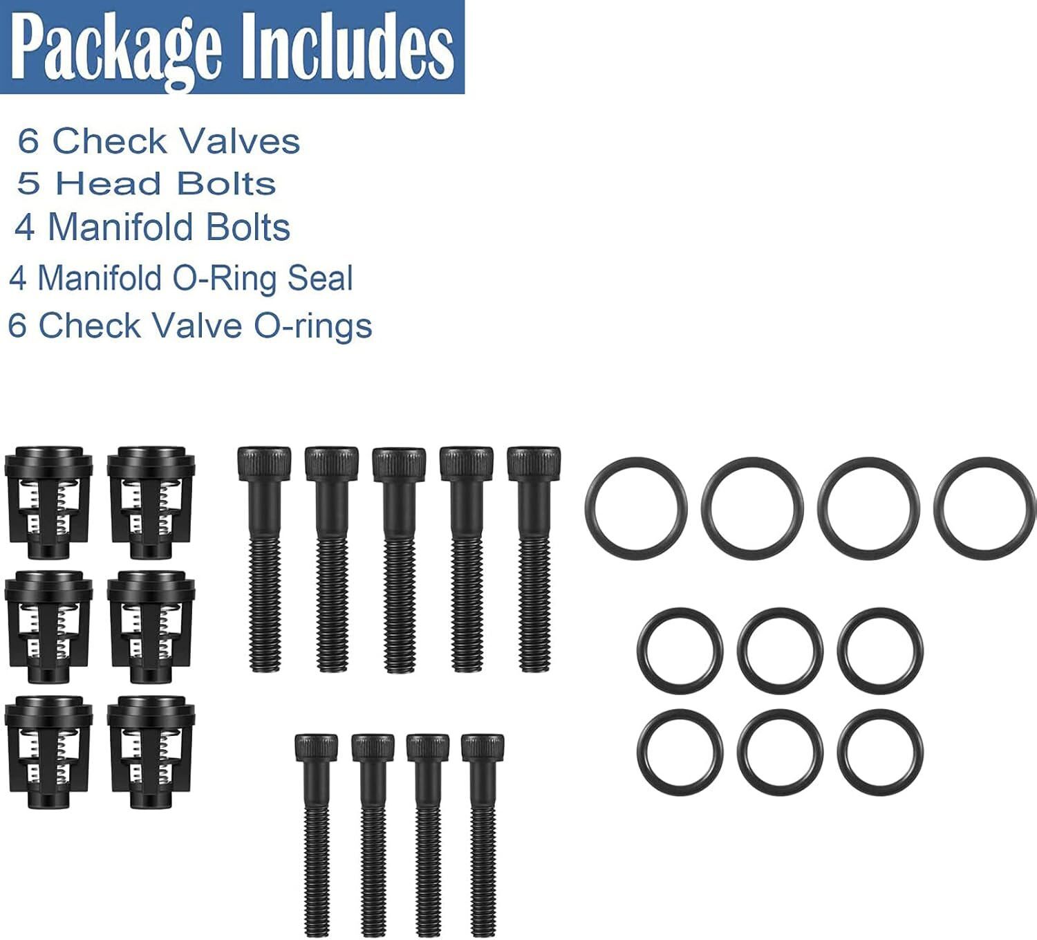 For Troy-Bilt, Briggs & Stratton 190591GS Pressure Washer Pump Valve Check Kit