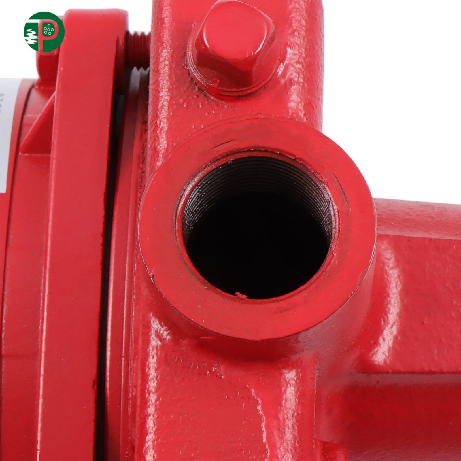 Shallow Well Jet Pump Cast Iron 1 HP 23 GPM Dual Voltage 115/230 Volt Red 602208
