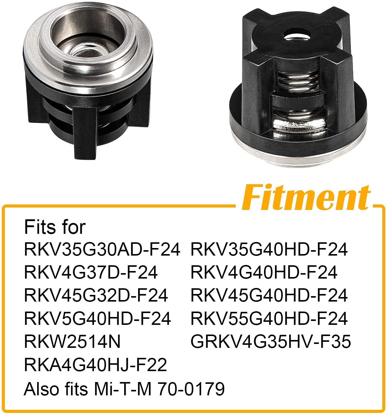 AR1828 Check Valve Kit for Annovi Reverberi Fits RRV, XRC, RKV, XRCV Models 18mm