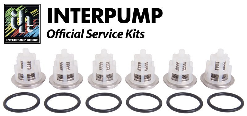 OEM Interpump / GP Kit169 Valve Kit TSF1819, TSF2221, TSF2021, TSF2421, TSF2219