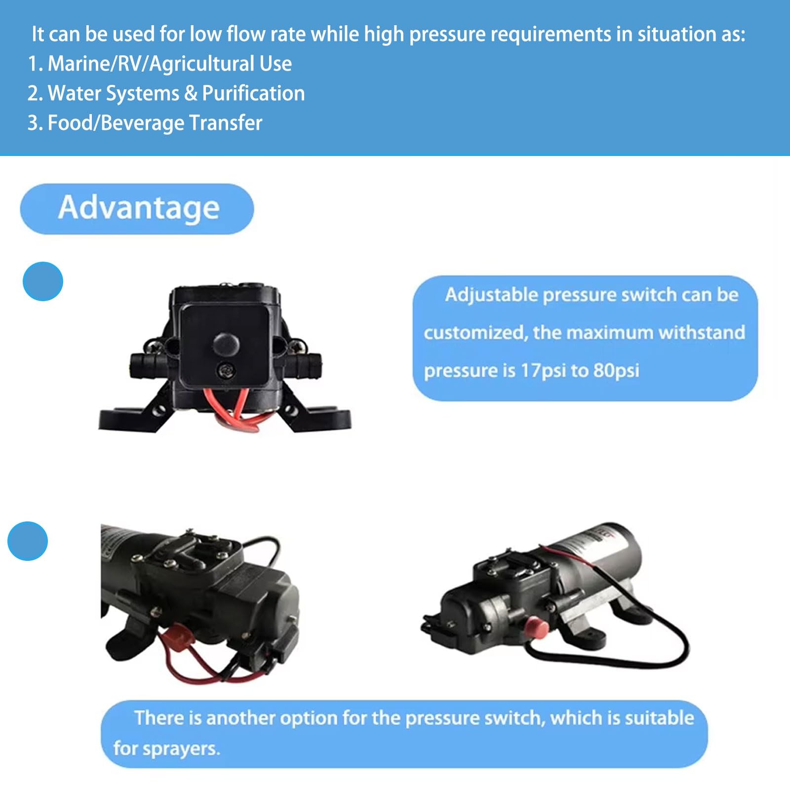 SAILINGFLO Diaphragm Water Pressure Pump for Caravan/RV/Boat/Marine 12V DC 1….