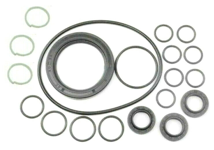 COMET Pump 5019.0659.00 Oil Seal Kit for GXD Series Pumps 5019065900