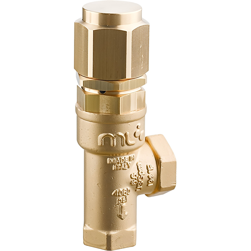 AR Annovi Reverberi SVL70 Safety Pressure Relief Valve 10450 PSI 16 GPM 194°F