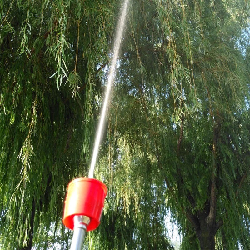 Double-cylinder Plunger Pump Sprayer 12V High-pressure Agricultural Sprayer