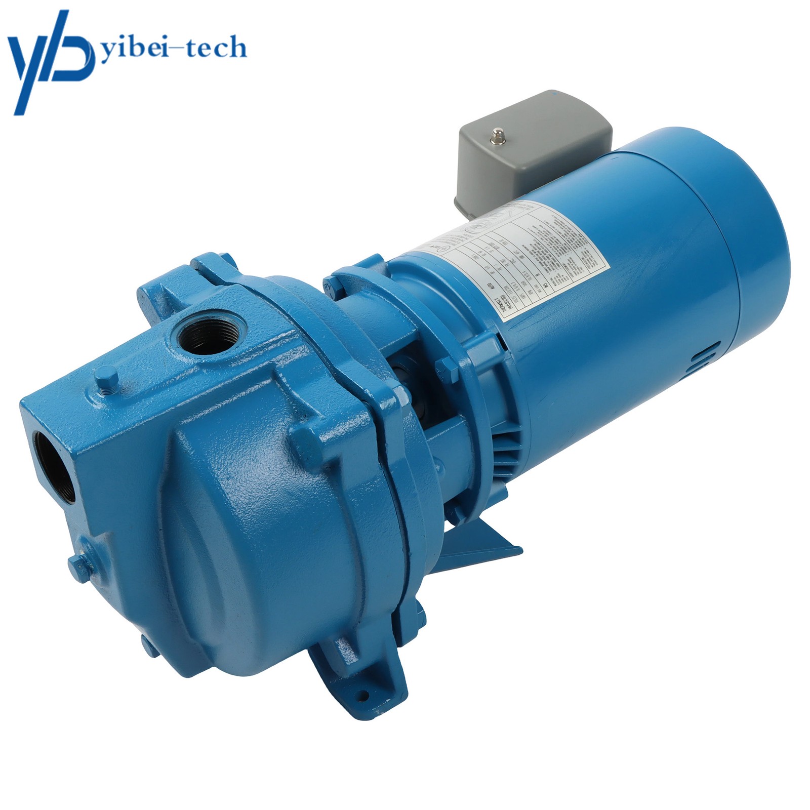 Dual Voltage (115/230 Volts) 1/2 HP Single Phase J5S Shallow Well Jet Pump