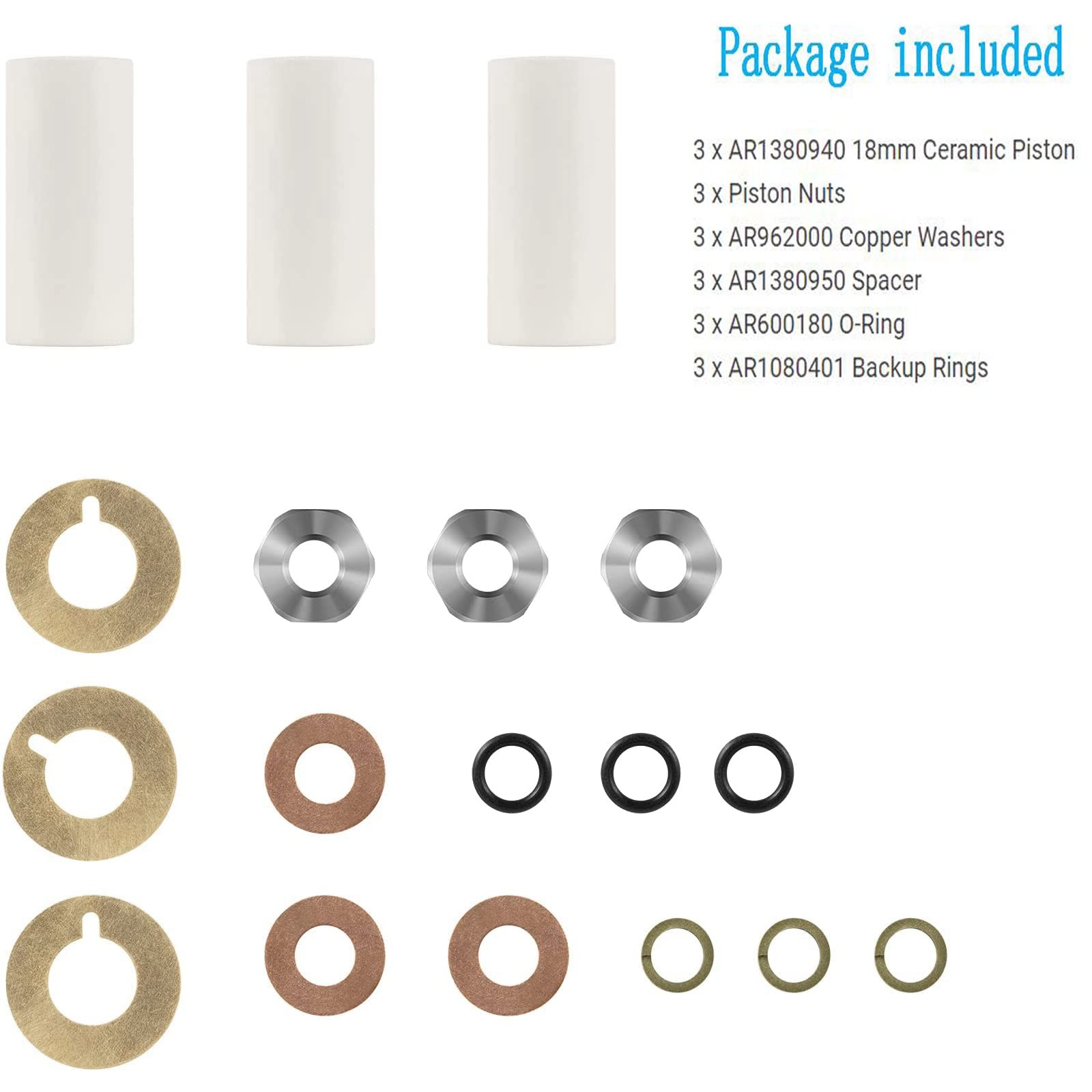 AR2546 Pump 18mm Piston Kit for Annovi Reverberi RK RKA RKV XRCA XRV XRCV Pump