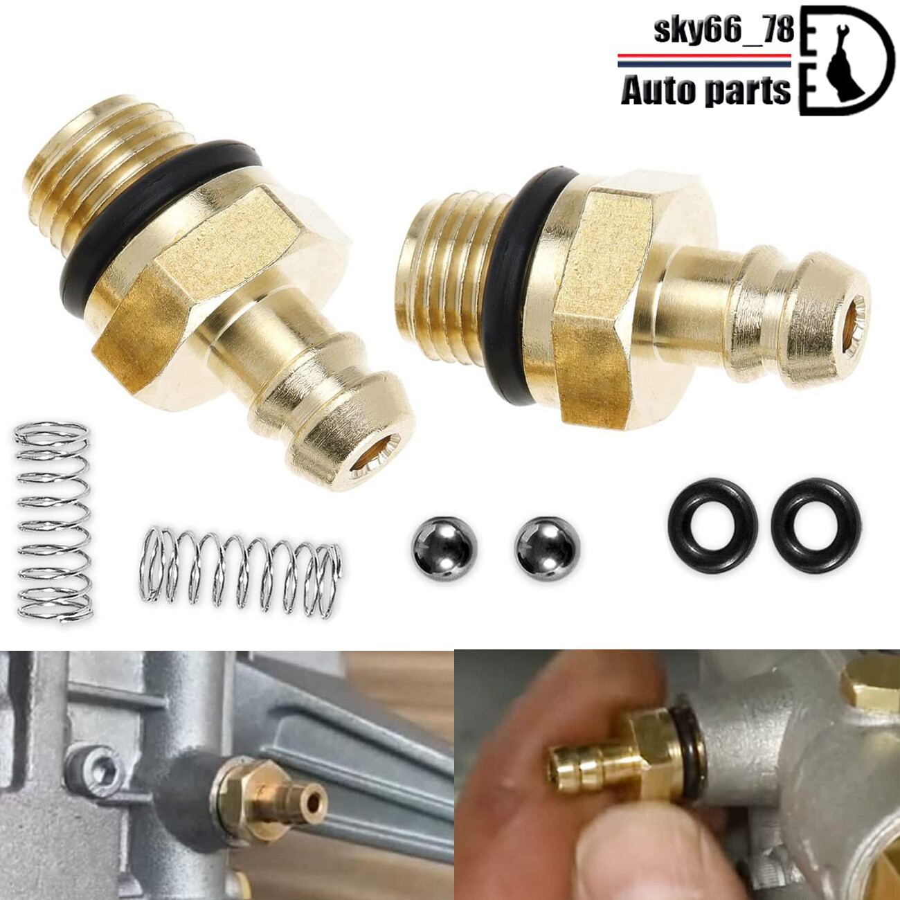 Chemical Soap Injector Pressure Washer Kit for Briggs Stratton Ryobi 190593GS